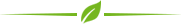 Zhejiang Bisheng Technology Co., Ltd.